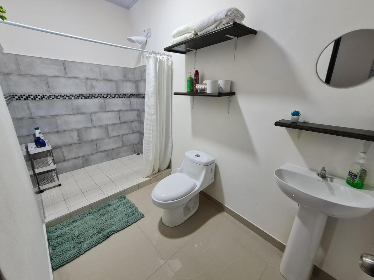 Apartamentos Ave del Paraíso Alajuela Exterior foto